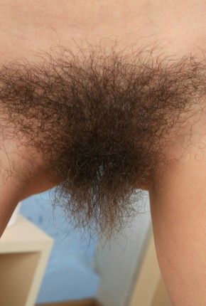 hairy pussy